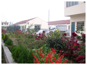 三亚优质甲基丙烯酸生产厂家